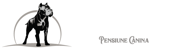 Pensiunea Canina - First Land